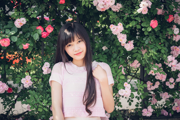图片[10]-Blooming rose-六色网