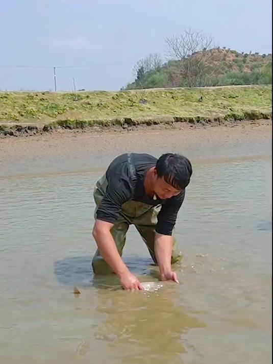 花8600包下一个鱼塘，没想到竟然会有红色双眼皮的“白金鱼”？
