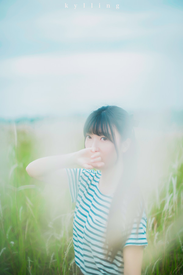 淡淡的初夏-六色网