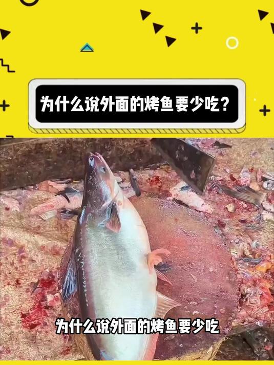 为什么说外面的烤鱼要少吃？
