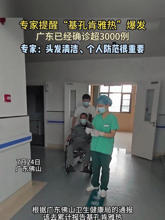 广东爆发“基孔肯雅热”,专家提醒个人清洁很重要