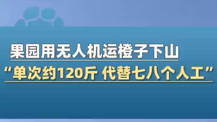 果园用无人机运送橙子下山,单次可以运送大约120斤,运费1毛一斤