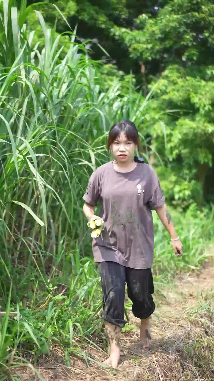 这个季节的末的最后一片茭白,不管是烧肉还是白灼都十分美味!