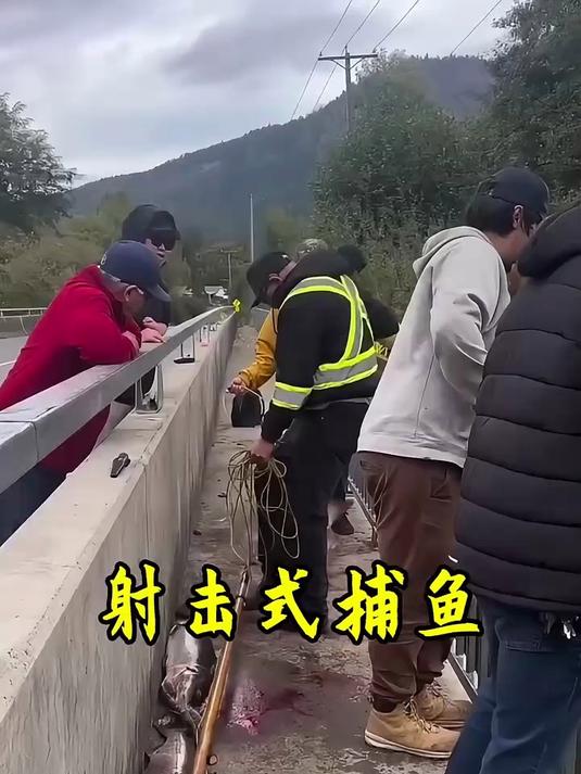 渔民在一处桥上捕鱼，场面那是相当的震撼！