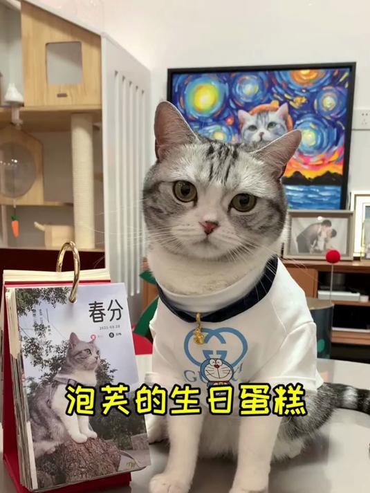 为芙芙的三岁生日做彩虹猫爪蛋糕!专属宠物可吃款,满满都是心意