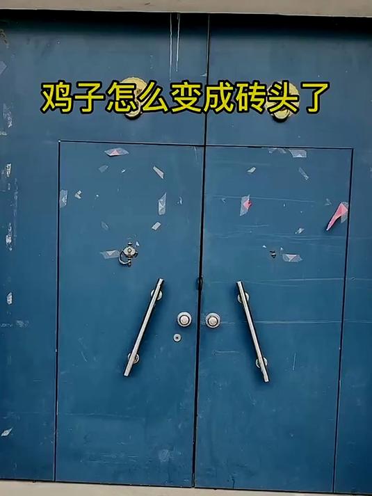 鸡子怎么变成砖头