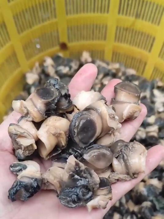 5星菜谱,田螺酿肉鲜到吮指!补钙又解馋,3种秘制做法大公开