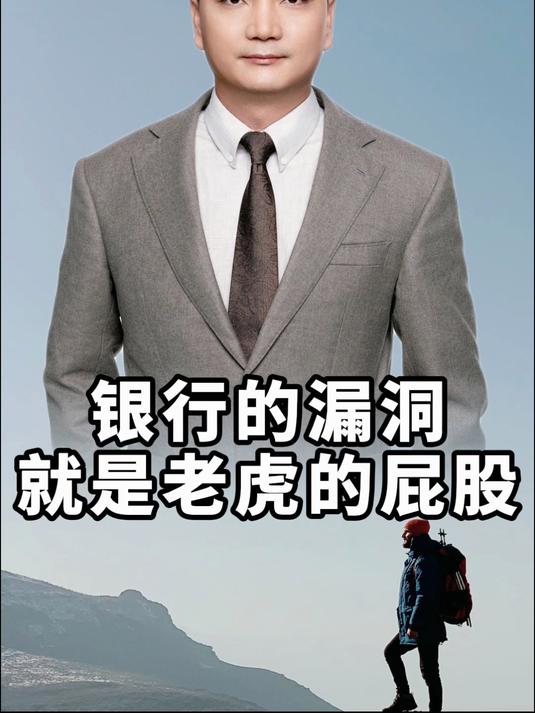 银行的漏洞就是老虎的屁股