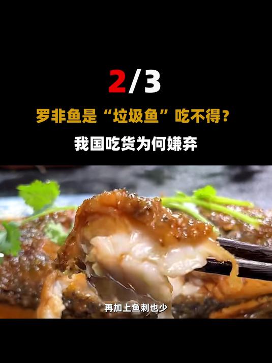 日本人最爱吃的鱼之一,产量世界第一,到中国成了“垃圾鱼”?