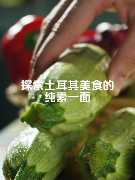探索土耳其美食中的素食风味!从橄榄油菜肴到扁豆佳肴