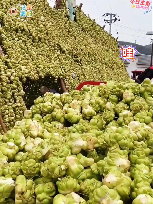 正宗涪陵榨菜丝去皮下饭菜开袋既食独立包装