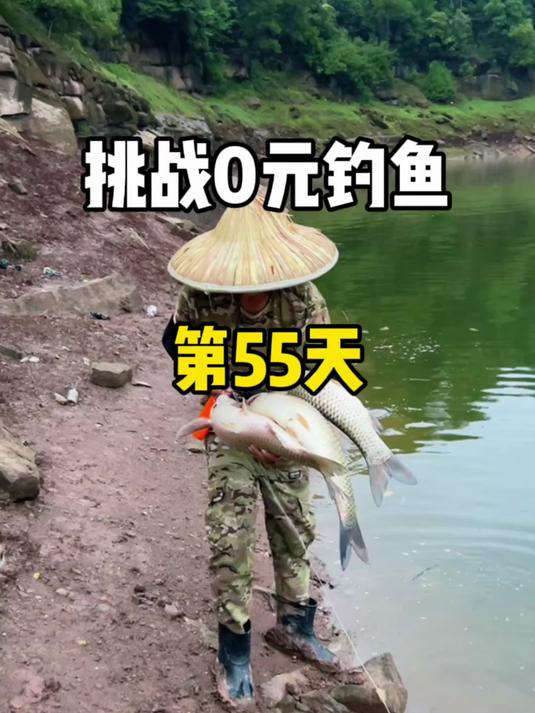 挑战0元钓鱼第55天,今天终于又站起来了!
