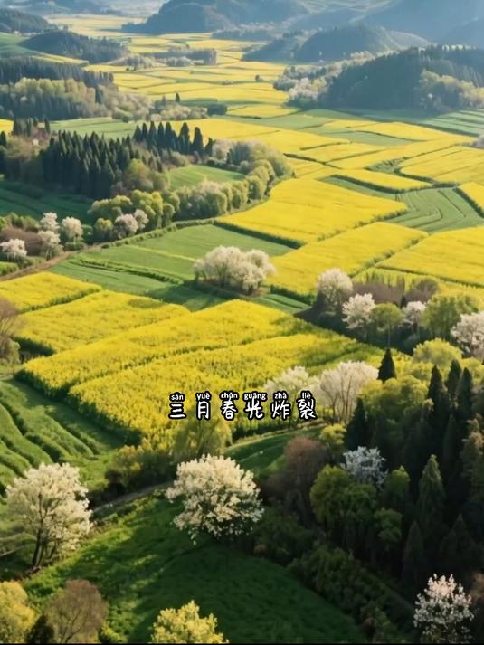 三月春光炸裂，咱们不去远方，就去罗平金鸡峰丛。#花满春城我代言#