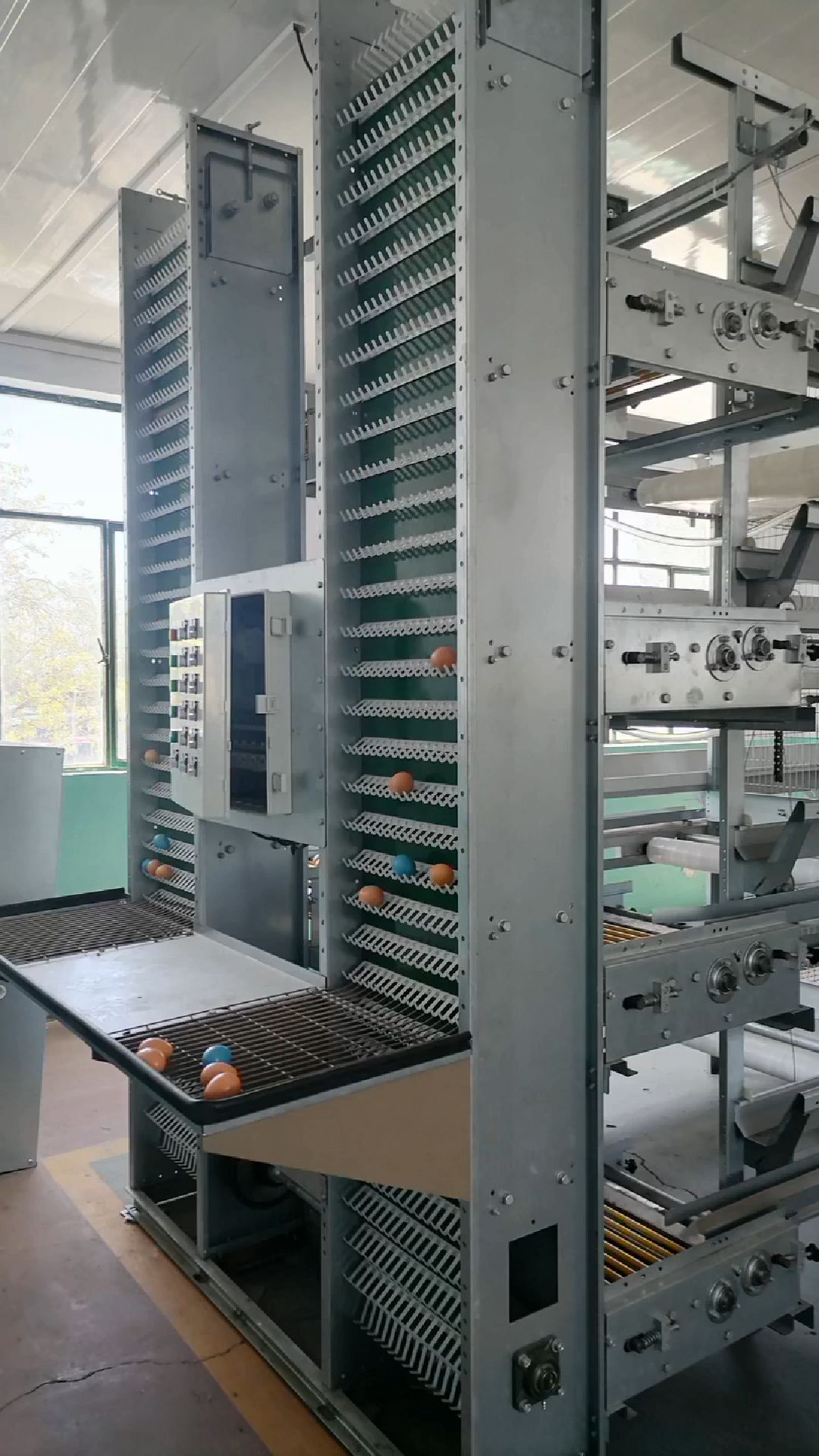 自动化蛋鸡养殖需要的主要设备有:蛋鸡笼、自动化饮水线、自动化喂料机、自动捡蛋机