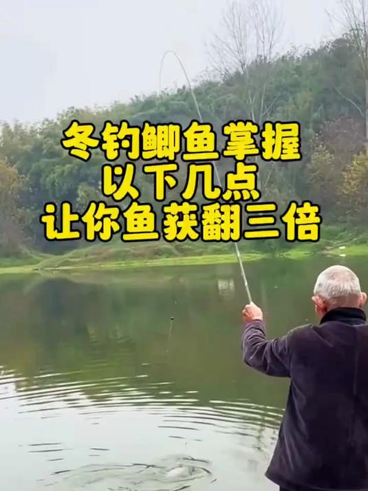冬季钓鲫鱼掌握以下几点,让你鱼货翻三倍