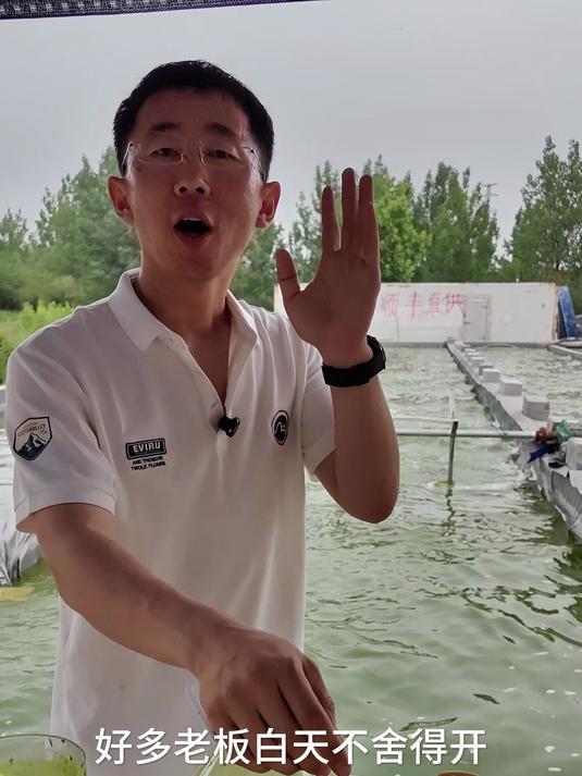 鱼虾蟹塘口增氧机的作用,小球藻增氧杠杠