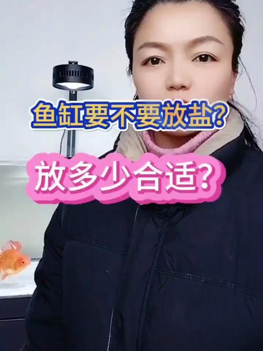 你家鱼缸放盐吗？放多少什么时候放，一个视频说清楚