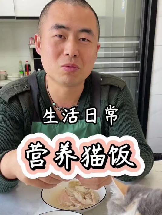 自制猫饭，营养又健康，猫咪估计会跟我老婆差不多时间生宝宝哦