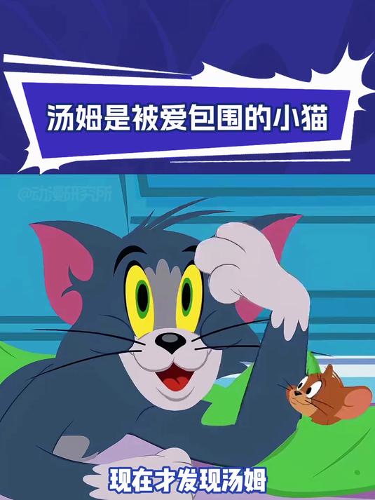 Q版猫和老鼠第三季：汤姆是被爱包围的小猫