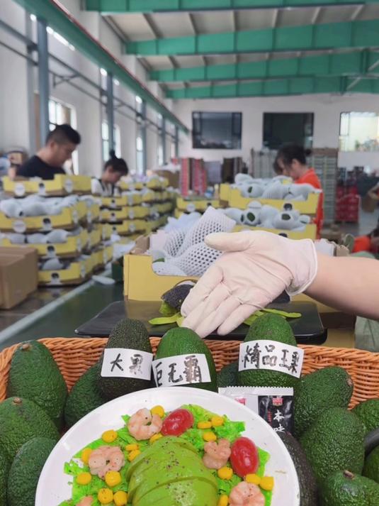 牛油果奶昔新配方,加入香蕉和燕麦,饱腹感持续6小时