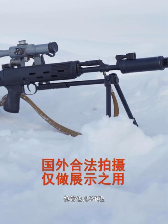 大鹅出品的狙击步枪,号称特等射手步枪枪