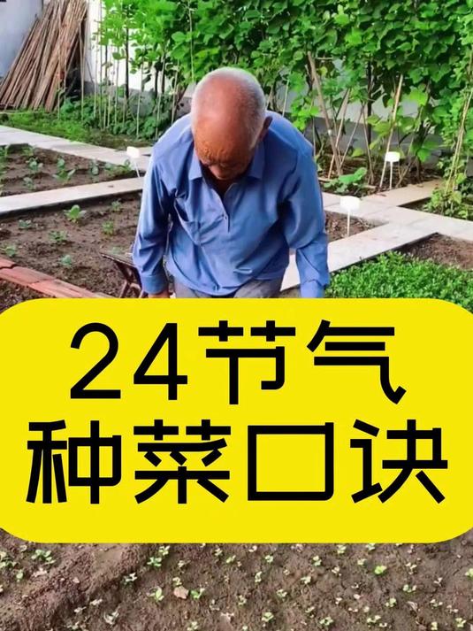 24节气种菜口诀,要想种菜产量高,一定要牢记!