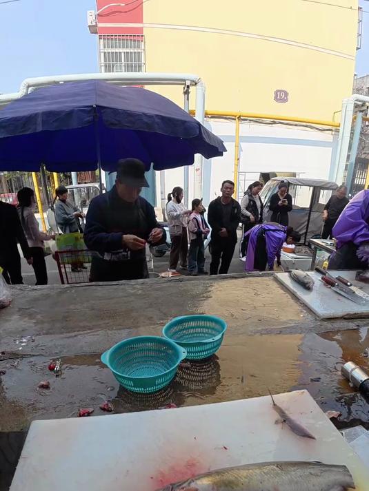 不小心把客户的鱼苦胆切破了 还能吃吗 老板这样处理正确吗
