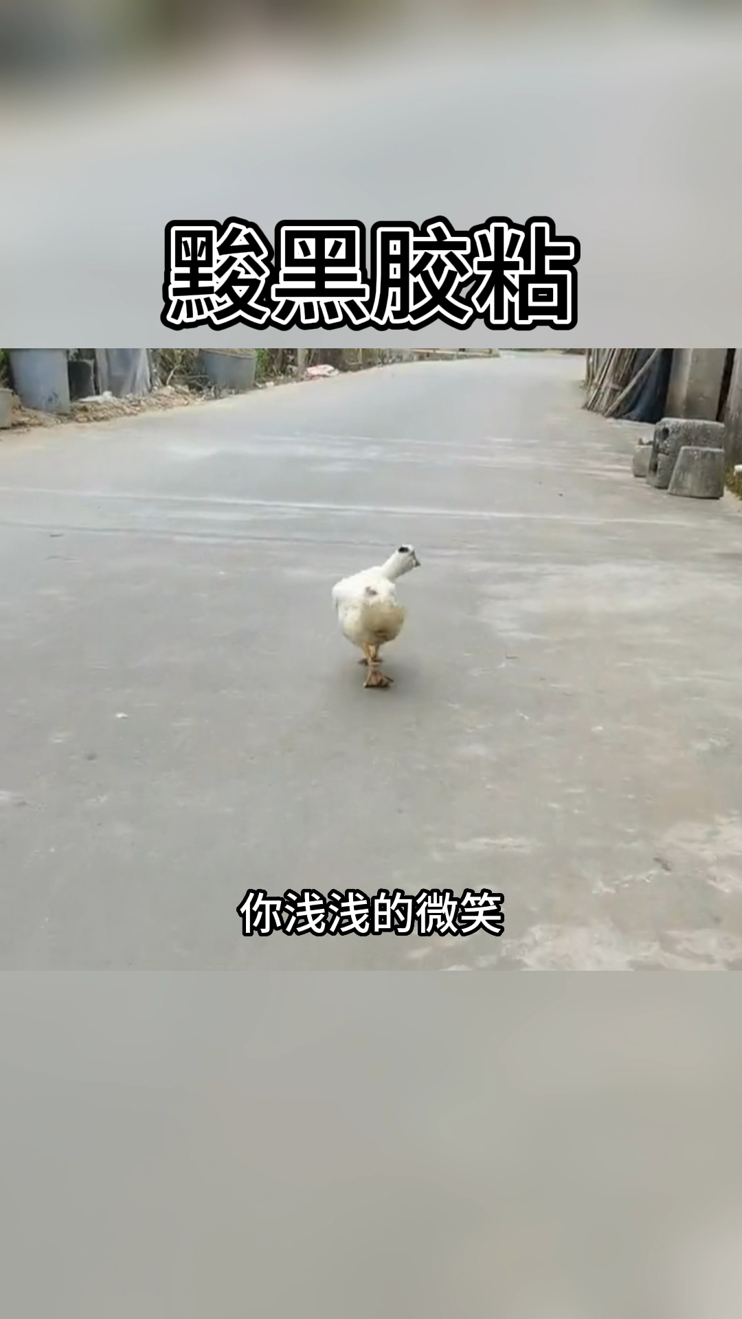 东北话搞笑配音:我合计那玩意不能怎么好看,黢黑胶粘