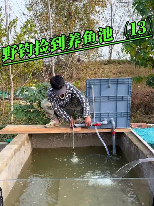 野钓露营 今天给养鱼池装上了循环过滤器