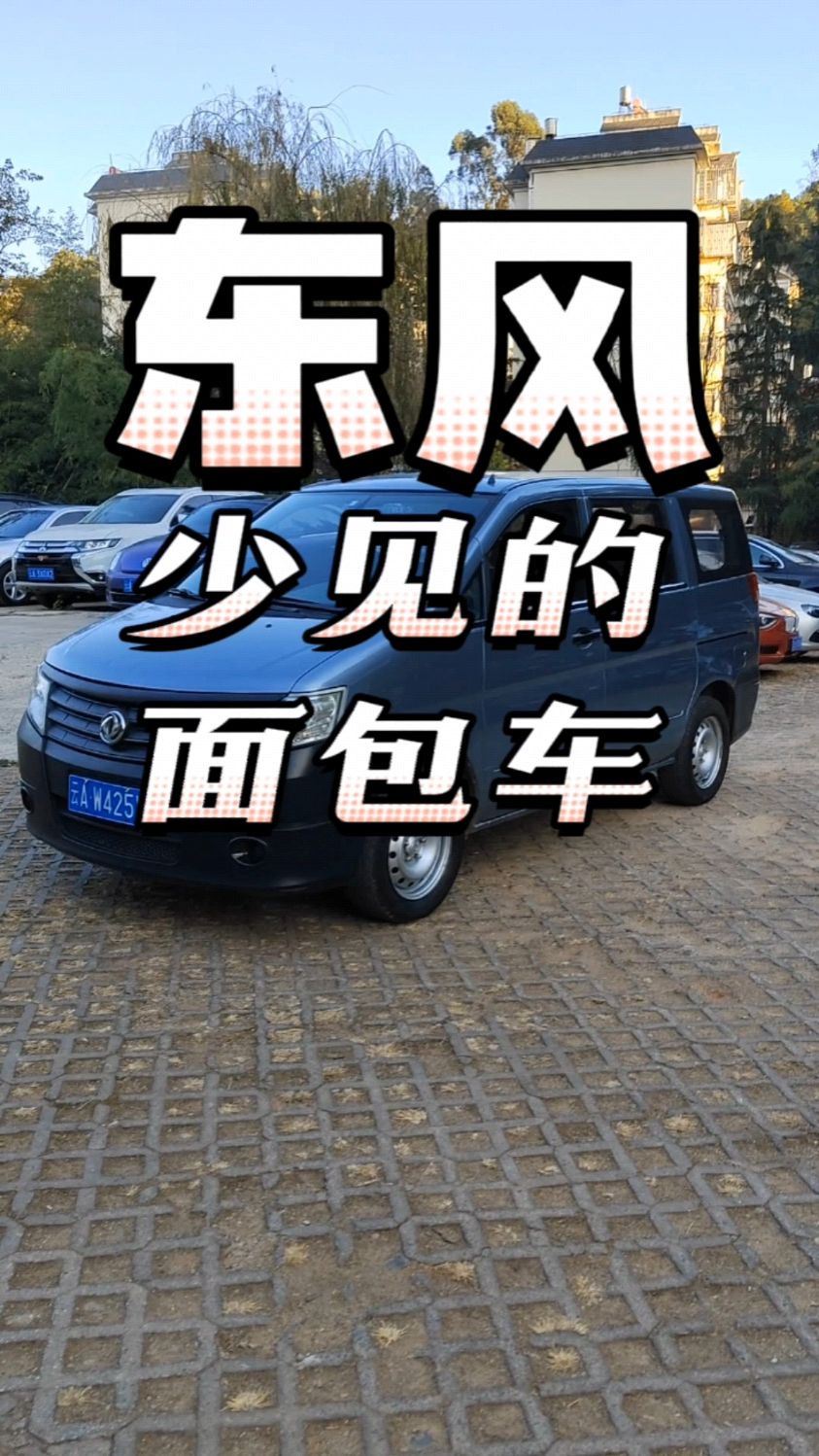 面包车,我也不知道啥车型