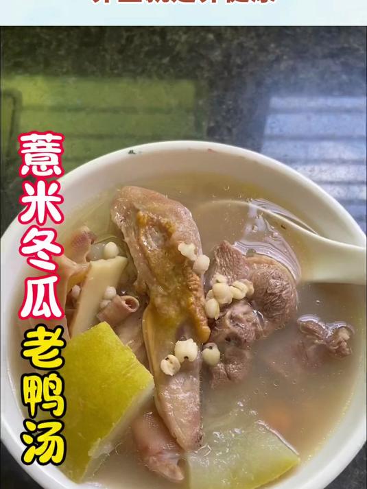 薏米冬瓜老鸭汤夏天消暑汤