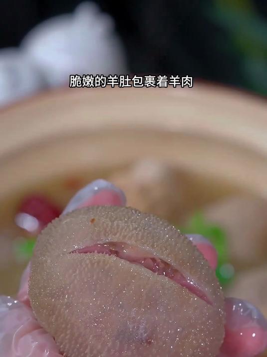 后悔没早发现!这羊肉肚包肉,比饭店做的还好吃?
