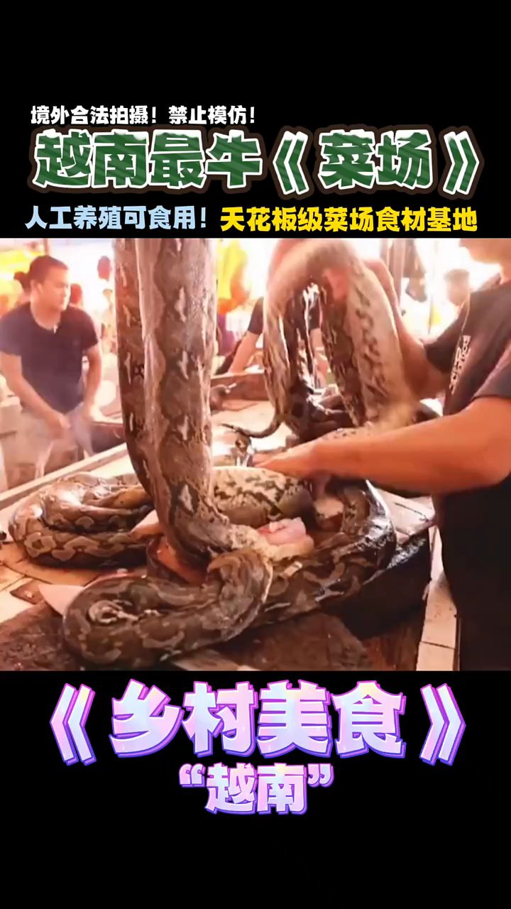 敢吃敢吃特色炒蛇肉,有多少小伙伴