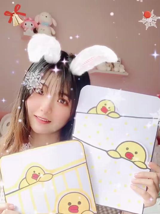 原创手工自制莎莉鸭文件夹收纳袋教程,整理文件好帮手哦