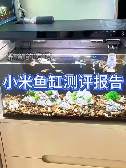 小米鱼缸测评,小米鱼缸使用一周年报告!