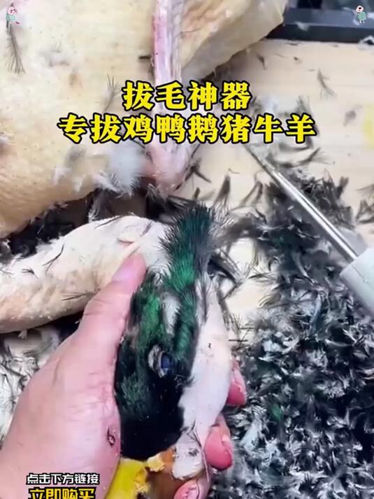 家用厨房拔毛神器,电动去杀鸭鹅家蒿脱毛机拔毛机拨鸭毛!