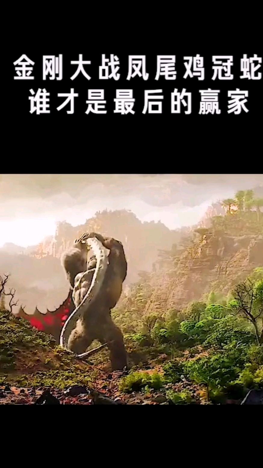 金刚大战凤尾鸡冠蛇