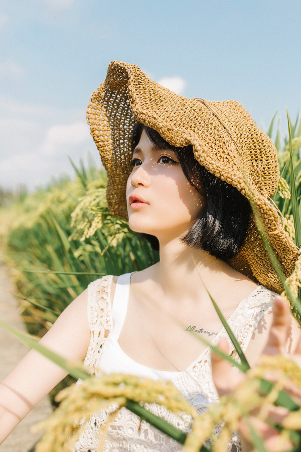 图片[16]-稻田里的夏天-六色网