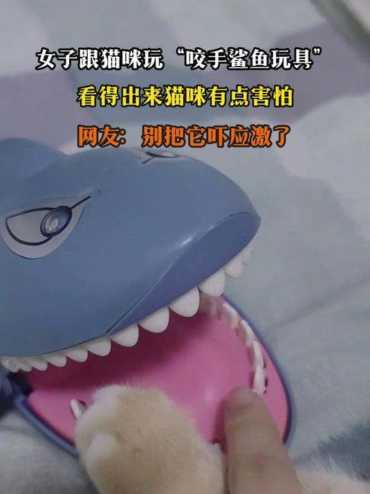 女子跟猫咪玩“咬手鲨鱼玩具”,看得出来猫咪有点害怕