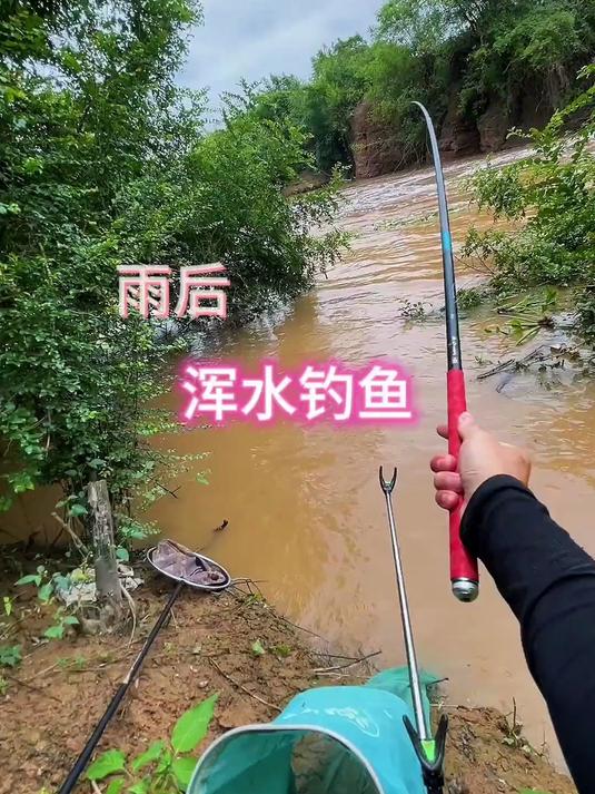 雨后浑水摸鱼,看看收货怎么样