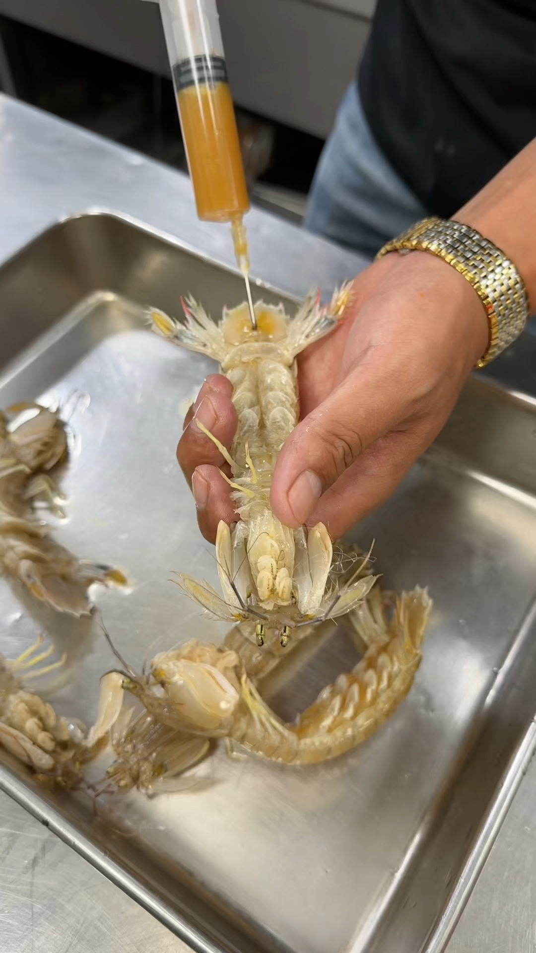 分不清公母的皮皮虾