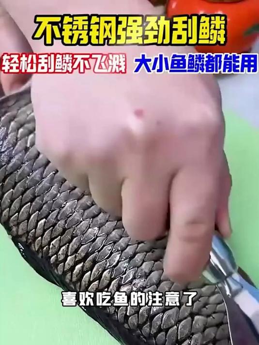 闭眼冲!304 不锈钢鱼鳞刨,家用杀鱼刮鳞神器不踩雷超香
