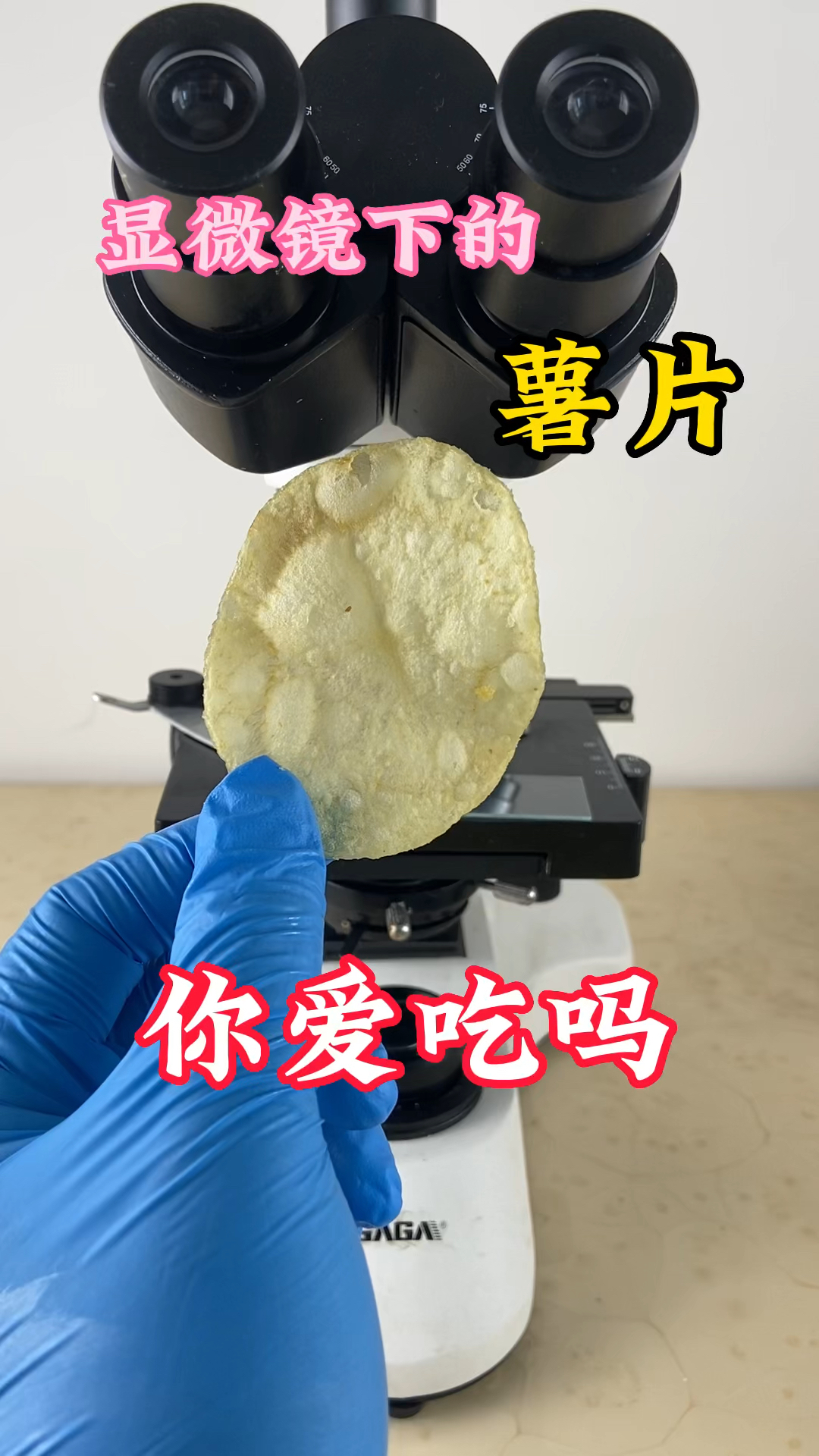 显微镜下的薯片看看是什么样的