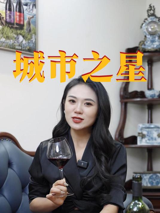 蓝菲·城市之星干红葡萄酒,来自智利中央山谷的高性价比酒款