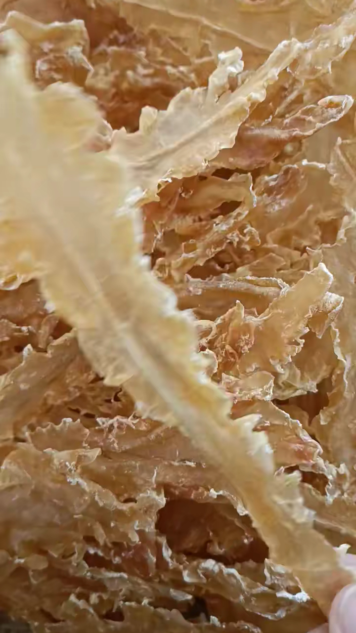 鳕鱼胶有滋阴润肺的功效,气管不好的可以经常吃鳕鱼胶,坚持吃点鱼胶能让孩子体质增强