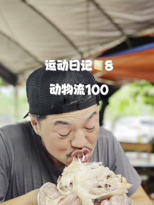 运动日记8:盐焗鸡烤乳猪高热量摄入,动物流100整起