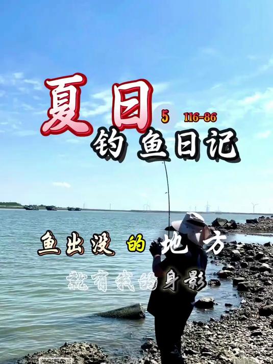 钓鲈鱼此鲈是傻鲈鲈鱼狂口#鱼#