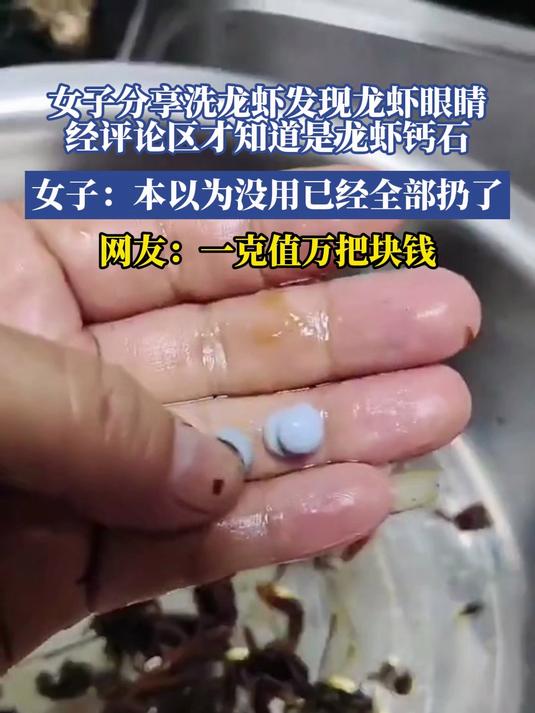 女子洗龙虾发现龙虾钙石,以为没用全扔了,网友:一克值万把块钱