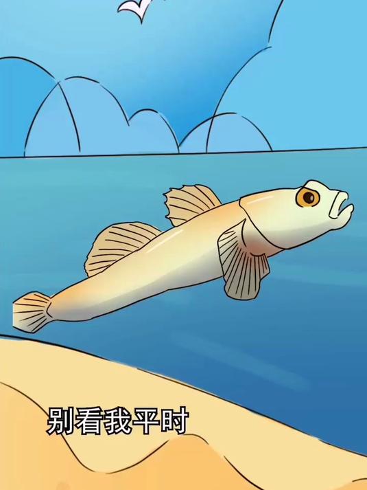 关键时刻，真情流露的虾虎鱼与枪虾