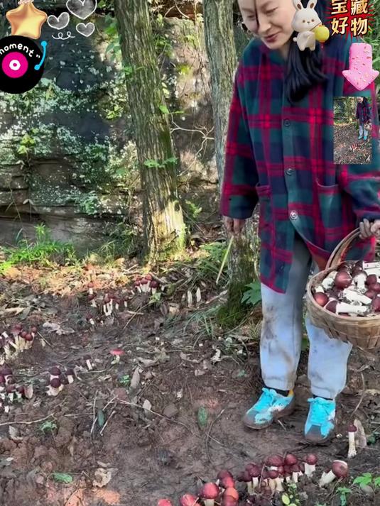 深山赤松茸，自然生长，肉质厚实，做法简单，鲜掉眉毛#美食#